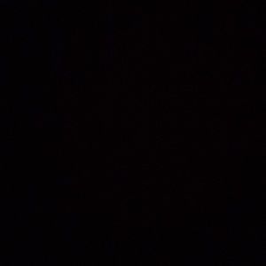 Meet your Posher, Luna